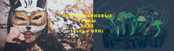 хмурый Кулебаки