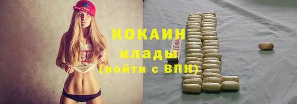 мет Кукмор