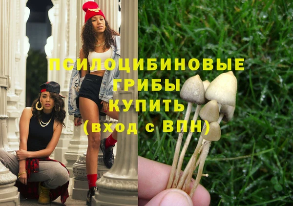 хмурый Кулебаки