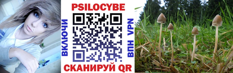 Галлюциногенные грибы мухоморы  Купить  Юхнов 